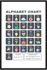 Allen Turtle Alphabet Chart Unframed Wall Decor Poster